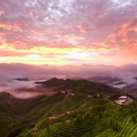 凌雲圖片照片_凌雲