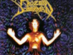 Frozen Doberman歌曲歌詞大全_Frozen Doberman最新歌曲歌詞