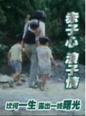 楊麗菁演過的電影電視劇線上看_影視作品大全_好看的明星
