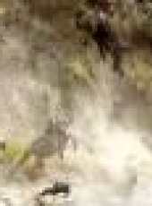環球趣聞最新一期線上看_全集完整版高清線上看_好看的綜藝