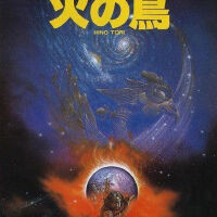 火之鳥圖片照片_火之鳥