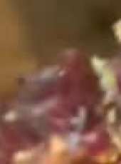 金炳萬的叢林法則最新一期線上看_全集完整版高清線上看_好看的綜藝