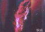 California Nebula專輯_預設California Nebula最新專輯