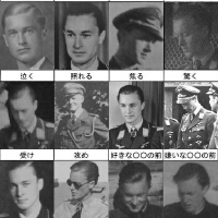 Luftwaffe圖片照片_Luftwaffe