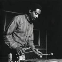 Bobby Hutcherson圖片照片_Bobby Hutcherson