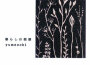 ユメオチ最新歌曲_最熱專輯MV_圖片照片
