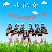 七仙女個人資料介紹_個人檔案(生日/星座/歌曲/專輯/MV作品)