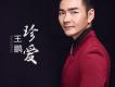 王鵬歌曲歌詞大全_王鵬最新歌曲歌詞