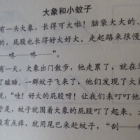 蚊子大象圖片照片_蚊子大象
