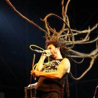 Shadows fall圖片照片_Shadows fall