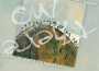 Young Voices of Melbourne歌曲歌詞大全_Young Voices of Melbourne最新歌曲歌詞