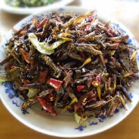 午夜螞蚱圖片照片_午夜螞蚱