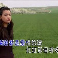 趙麗艷圖片照片_趙麗艷