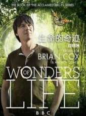 BBC：生命的奇蹟線上看_全集高清完整版線上看_分集劇情介紹_好看的電視劇