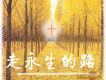 原創詩歌歌曲歌詞大全_原創詩歌最新歌曲歌詞