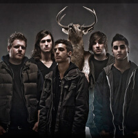 Ice Nine Kills圖片照片_Ice Nine Kills
