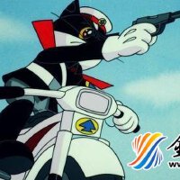 黑貓警長圖片照片_黑貓警長