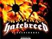 Hatebreed歌曲歌詞大全_Hatebreed最新歌曲歌詞