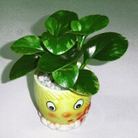 碧玉圖片照片_碧玉
