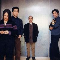 The Magnetic Fields圖片照片_The Magnetic Fields