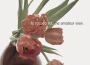 The Amateur View專輯_To Rococo RotThe Amateur View最新專輯