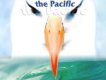 Winds Across The Pac