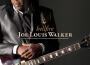 Witness To The Blues專輯_Joe Louis WalkerWitness To The Blues最新專輯