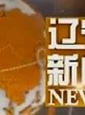 遼寧新聞最新一期線上看_全集完整版高清線上看 - 蟲蟲綜藝