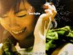 藤田惠美歌曲歌詞大全_藤田惠美最新歌曲歌詞
