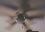 sad song title專輯_A L E Xsad song title最新專輯