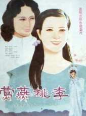 何晴演過的電影電視劇線上看_影視作品大全_好看的明星