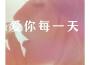 愛你每一天專輯_劉軒宜愛你每一天最新專輯