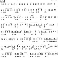 小調調收藏圖片照片_小調調收藏