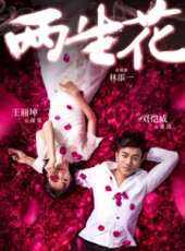 顧璇演過的電影電視劇線上看_影視作品大全_好看的明星