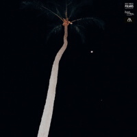 Polaris (北極星)