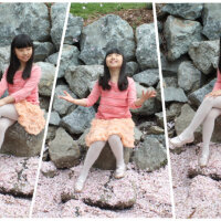 CHERRYBLOSSOM圖片照片_CHERRYBLOSSOM