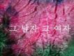 Enjel歌曲歌詞大全_Enjel最新歌曲歌詞