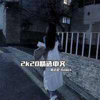 2k20精選中文