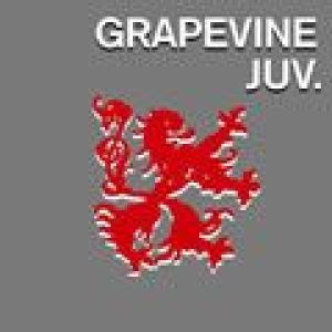 GRAPEVINE最新歌曲_最熱專輯MV_圖片照片