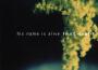 Hope Is A Candle專輯_his name is aliveHope Is A Candle最新專輯