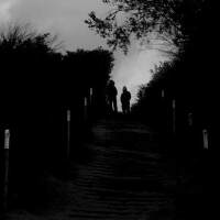 Woods of Desolation圖片照片