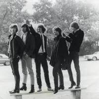 The Byrds圖片照片_The Byrds