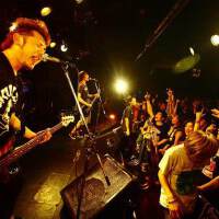 Egg Brain圖片照片_Egg Brain