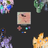 Nintendo (Deluxe) [Explicit]