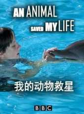 最新2012電視劇_好看的2012電視劇大全/排行榜_好看的電視劇