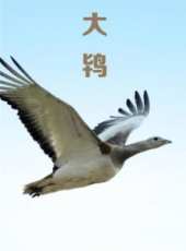 王釗演過的電影電視劇線上看_影視作品大全_好看的明星