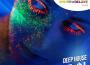 Chill out Psy Dub & Ambient Top 100 Best Selling Chart Hits + DJ Mix V7專輯_Deep HouseChill out Psy Dub & Ambient Top 100 Best Selling Chart Hits + DJ Mix V7最新專輯