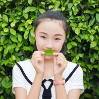 劉戀圖片照片_照片寫真