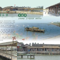 東超圖片照片_東超