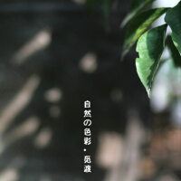 Martin Ermen圖片照片_Martin Ermen